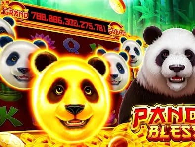 Popular Aussie pokies selection